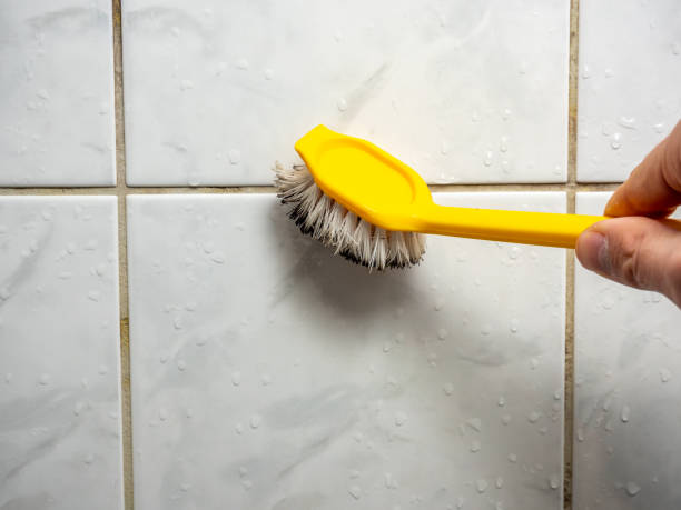 Best Affordable Mold Removal  in Channelview, TX