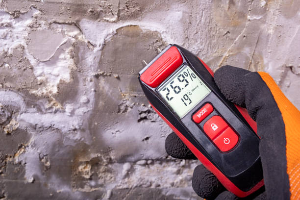 Best Mold Damage Repair  in Channelview, TX