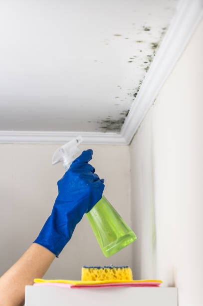 Water Damage Restoration in Channelview, TX